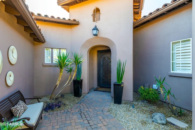 view of exterior entry with a patio and stucco siding