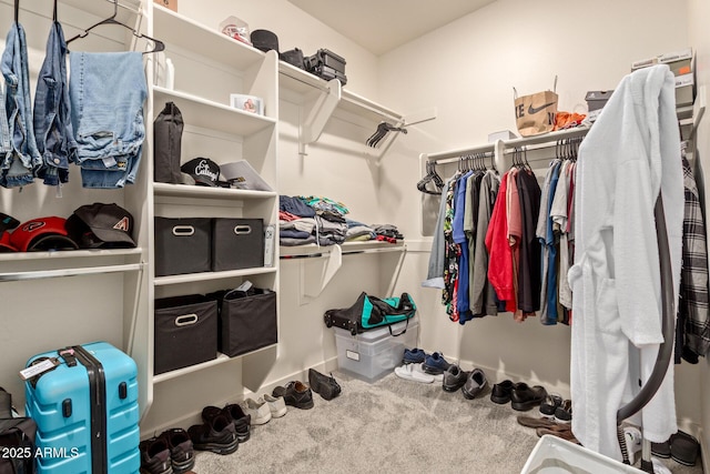 spacious closet with carpet flooring