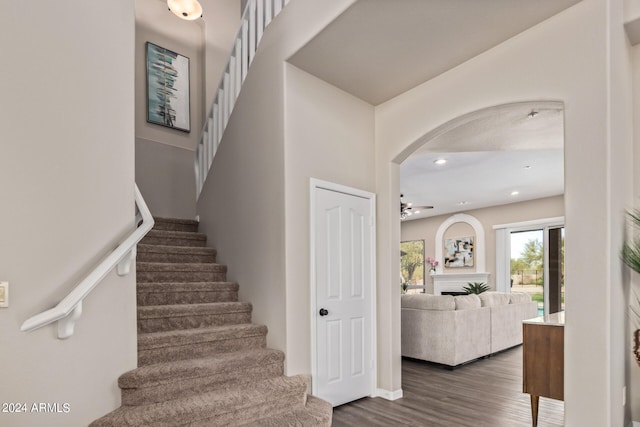 stairway with dark hardwood / wood-style flooring and ceiling fan