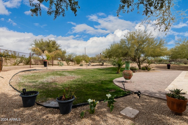 view of property's community with a yard