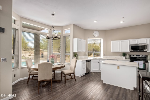 kitchen featuring hanging light fixtures, dark hardwood / wood-style floors, a chandelier, and stainless steel appliances