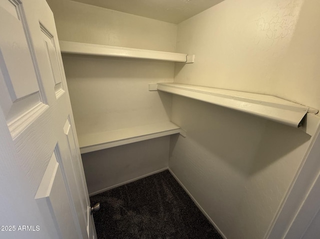 16602 N 25th St Unit 217, Phoenix, AZ 85032 - walk in closet featuring dark carpet