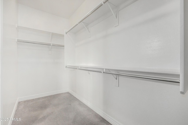 spacious closet with carpet floors