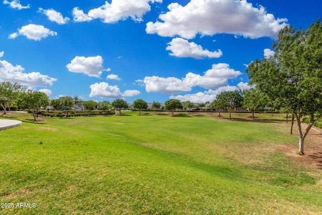 view of home's community featuring a yard