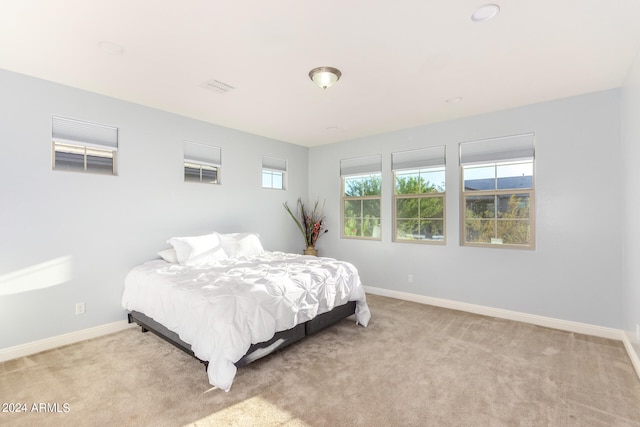 bedroom featuring multiple windows and light colored carpet