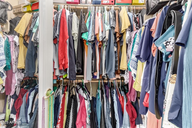 view of walk in closet