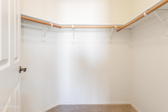 walk in closet featuring carpet flooring