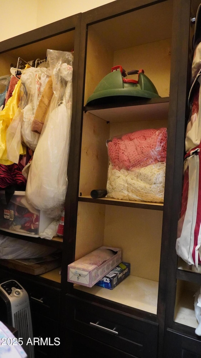 view of closet