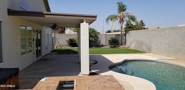 view of pool featuring a patio area and ceiling fan