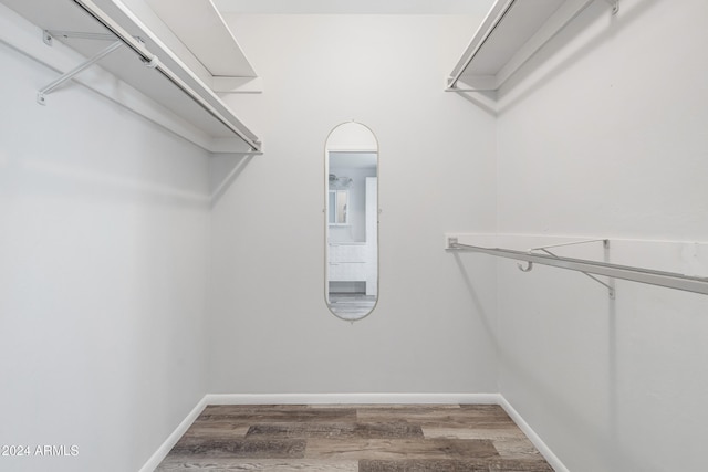 spacious closet featuring wood-type flooring