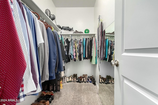 walk in closet with carpet floors