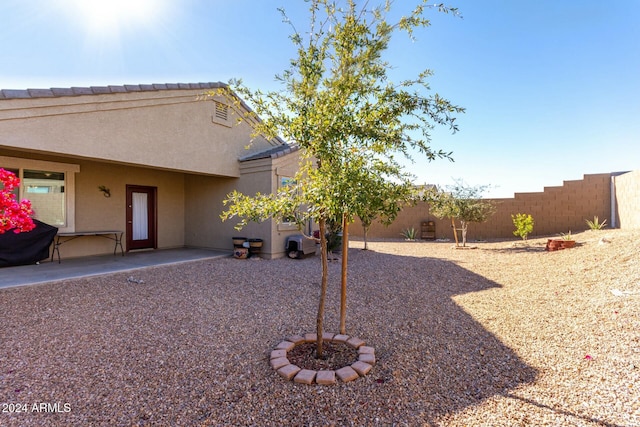 view of yard with a patio