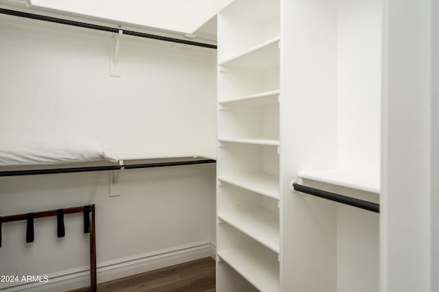 spacious closet with wood-type flooring