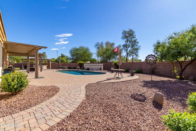 view of yard with a fenced in pool and a patio area