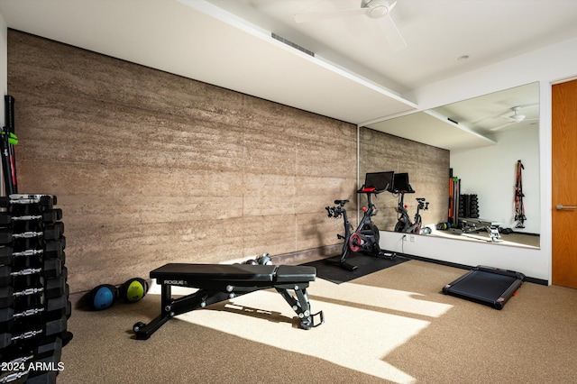 exercise area featuring ceiling fan