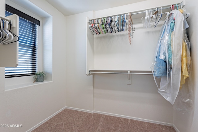 spacious closet with carpet