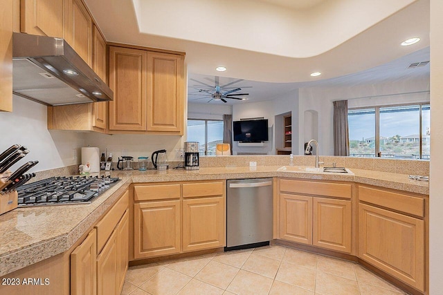 kitchen featuring light brown cabinetry, ventilation hood, stainless steel appliances, and sink