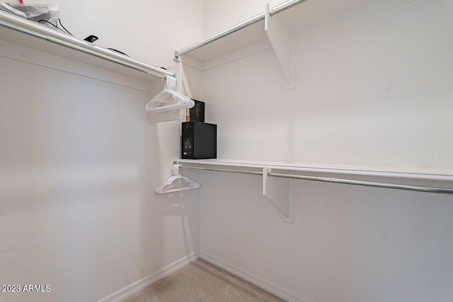 spacious closet featuring light colored carpet