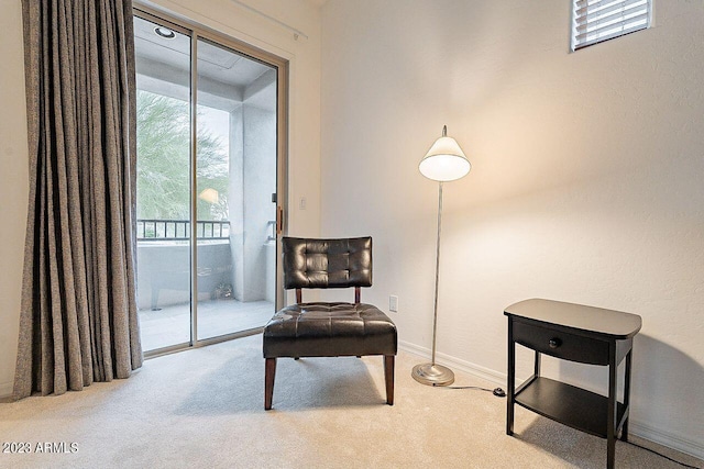 sitting room featuring carpet floors