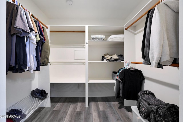 spacious closet featuring hardwood / wood-style flooring