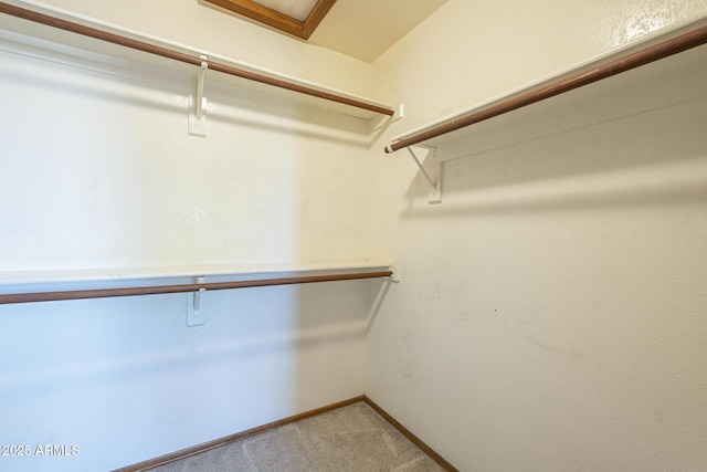 walk in closet featuring light colored carpet