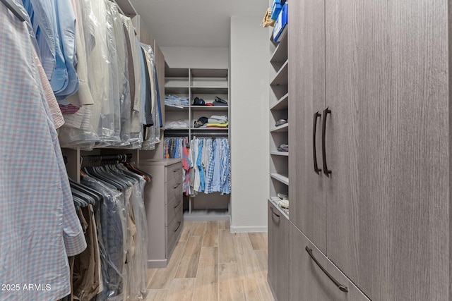 spacious closet with light wood-style flooring
