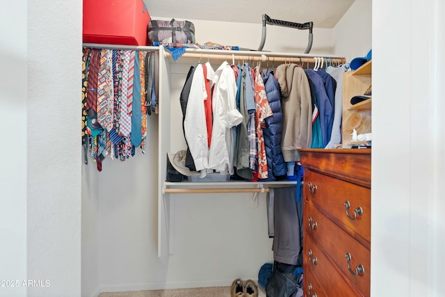 view of spacious closet