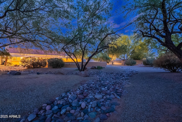 13108 N 76th St, Scottsdale, AZ 85260 - view of yard