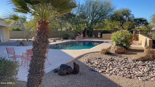 view of pool with a patio