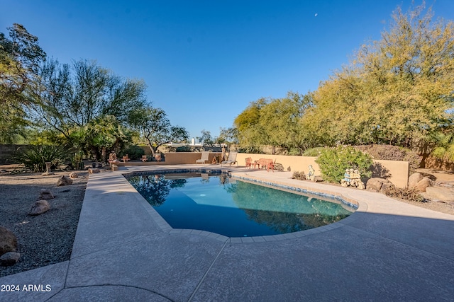 view of swimming pool with a patio