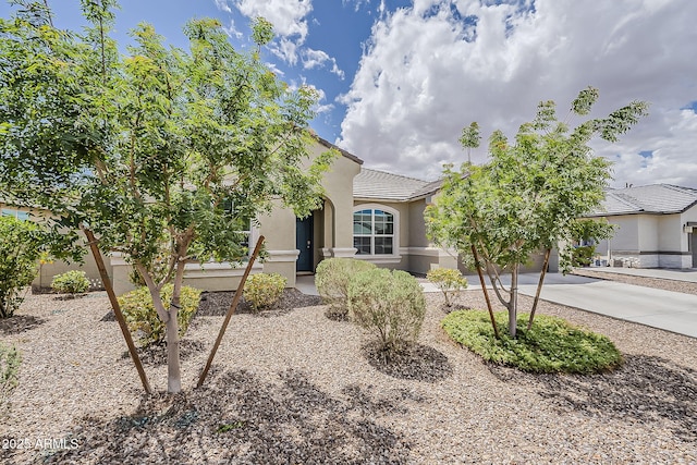 view of front of house featuring a garage, concrete driveway, and stucco siding