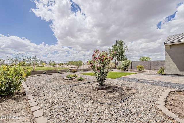 view of yard with a fenced backyard and a patio area