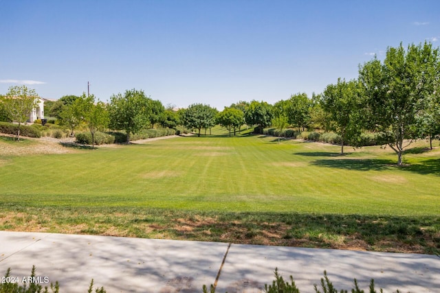 view of community featuring a yard