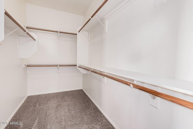 40713 N Courage Trl, Anthem, AZ 85086 - walk in closet with carpet floors
