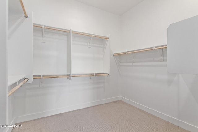 walk in closet with carpet flooring