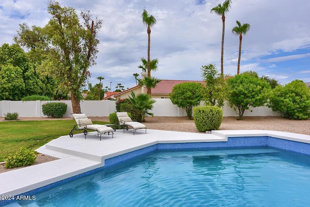 view of pool with a patio area