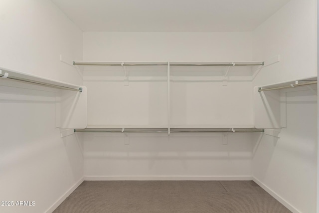 22568 E Rosa Rd, Queen Creek, AZ 85142 - walk in closet featuring carpet