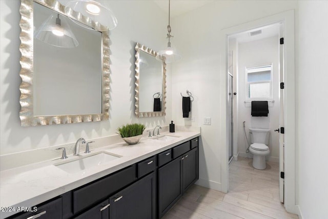 bathroom featuring vanity, toilet, and wood-type flooring