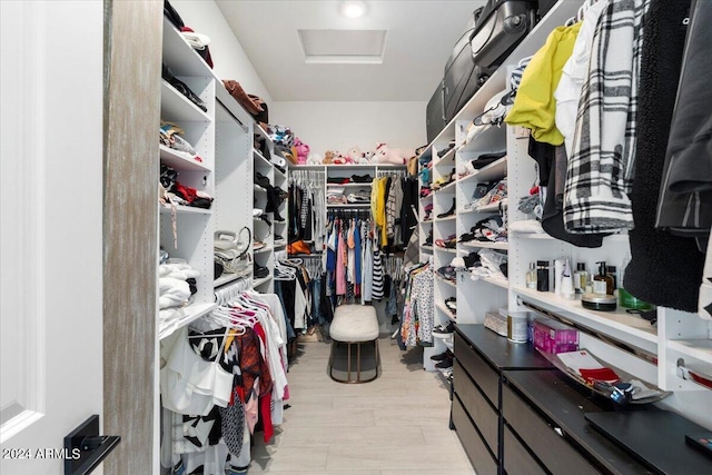 spacious closet with light wood-type flooring