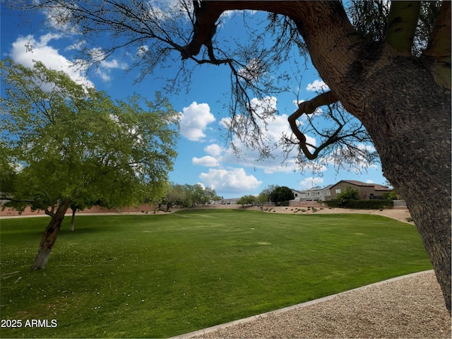 view of home's community with a yard