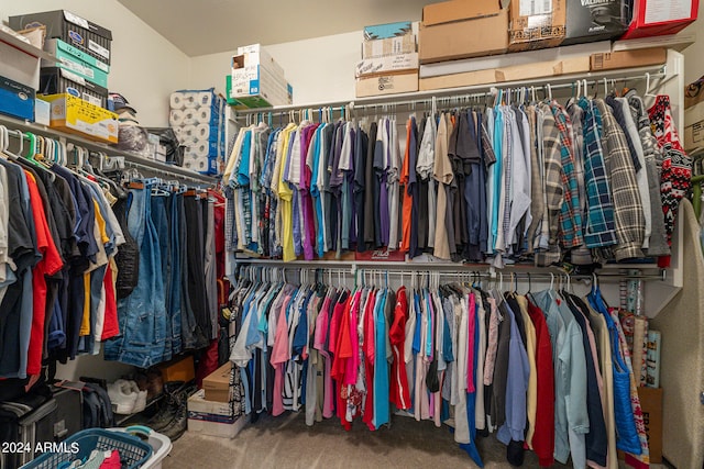 walk in closet featuring carpet flooring