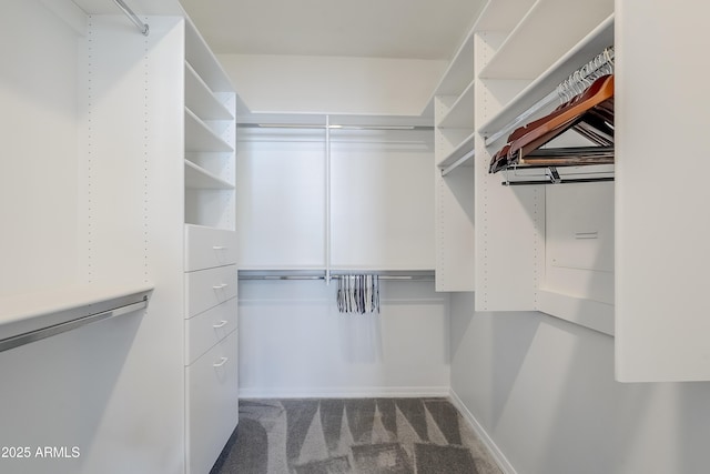 walk in closet with carpet floors