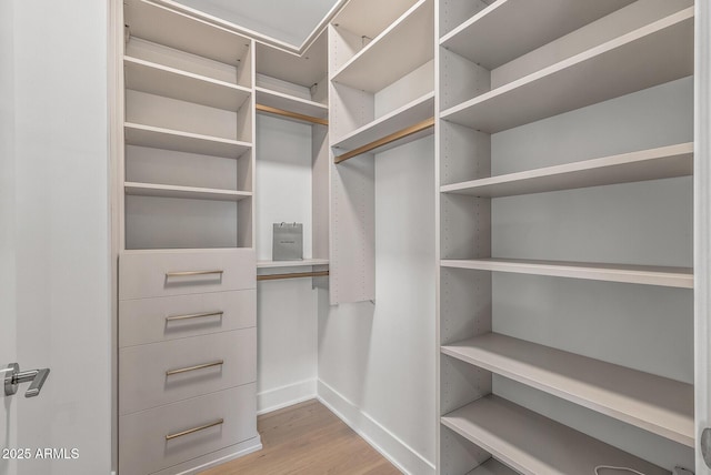 spacious closet featuring wood finished floors