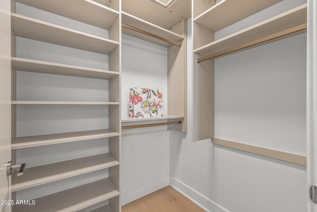 spacious closet featuring wood finished floors