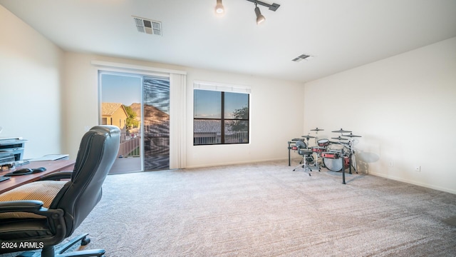 office space featuring light colored carpet