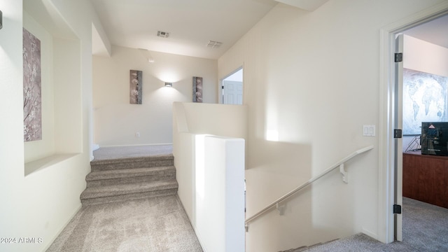 staircase featuring carpet floors