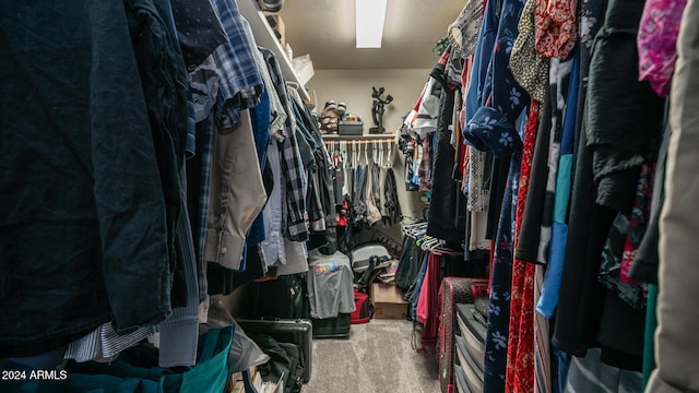 spacious closet with carpet