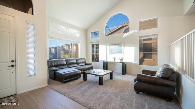 living room featuring light wood-type flooring and high vaulted ceiling