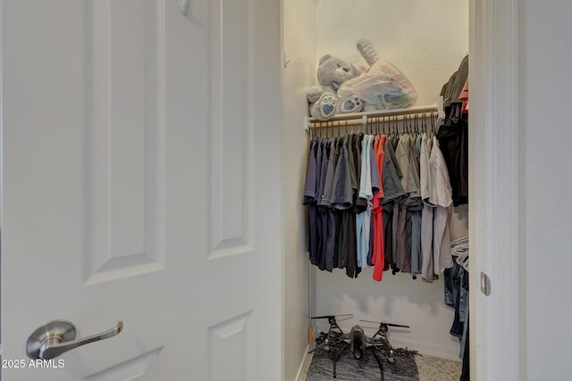 view of closet