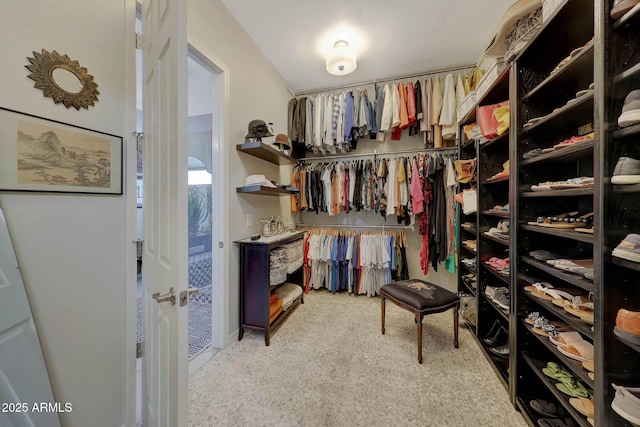 spacious closet with carpet floors